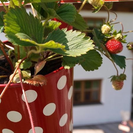 Alpenferienwohnung Strickner Neustift im Stubaital Bagian luar foto