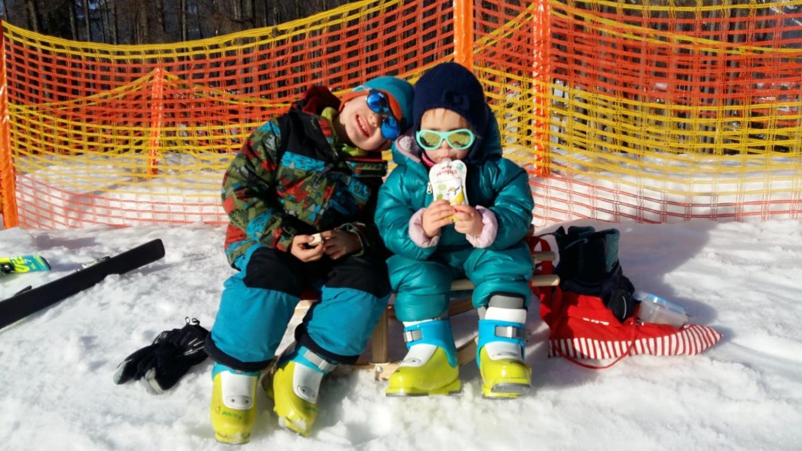 Alpenferienwohnung Strickner Neustift im Stubaital Bagian luar foto