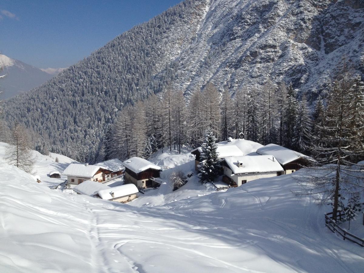 Alpenferienwohnung Strickner Neustift im Stubaital Bagian luar foto