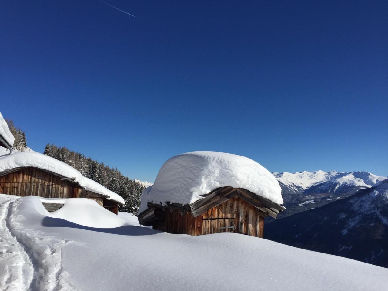 Alpenferienwohnung Strickner Neustift im Stubaital Bagian luar foto